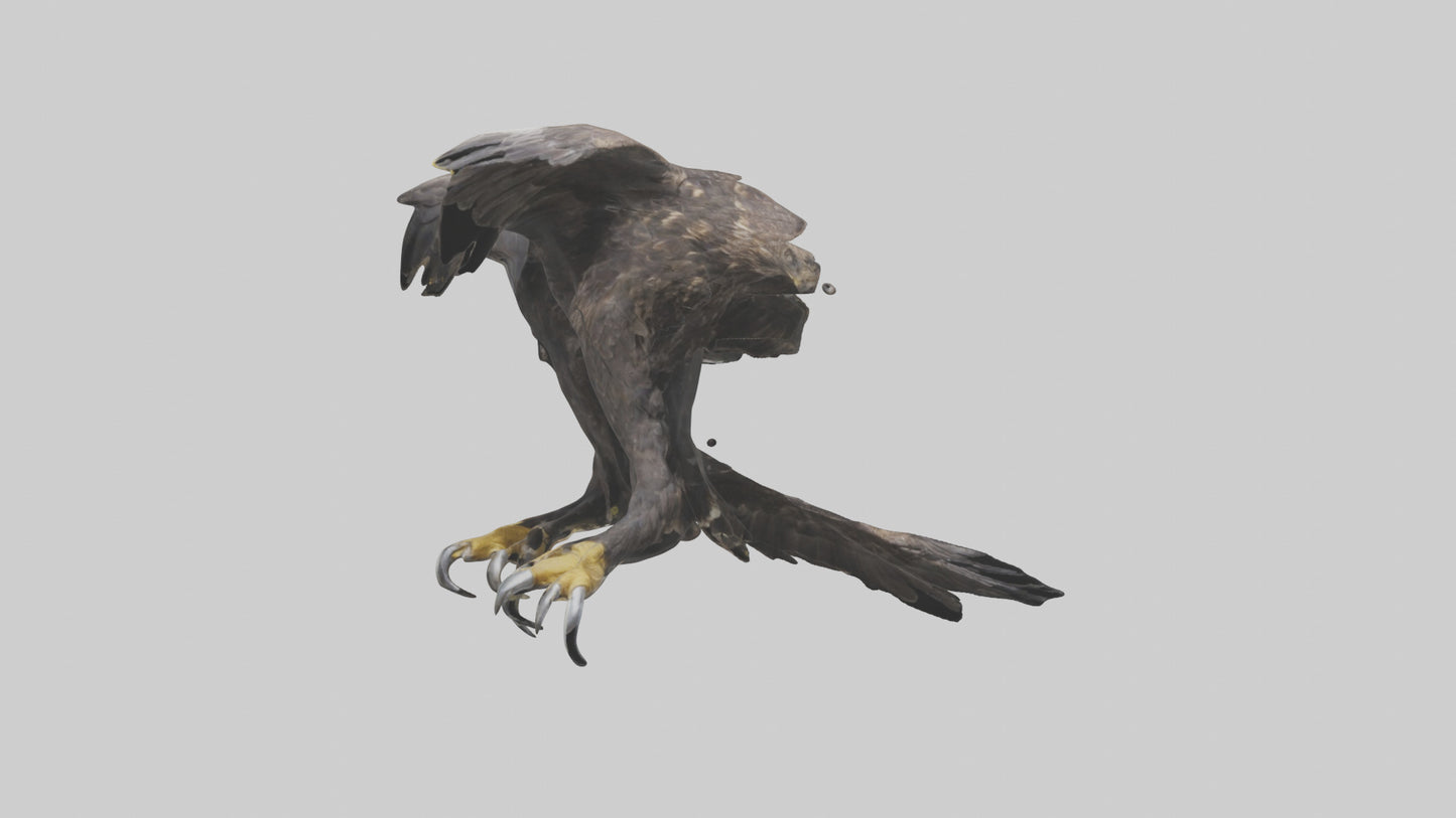 3D model Eagle Talons VR / AR / low-poly