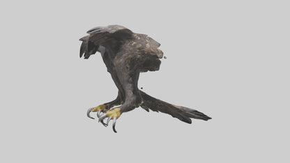 3D model Eagle Talons VR / AR / low-poly