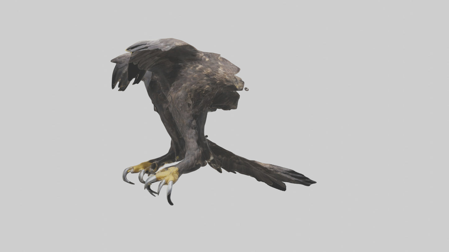 3D model Eagle Talons VR / AR / low-poly