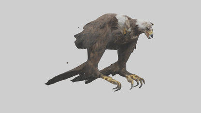 3D model Eagle Talons VR / AR / low-poly