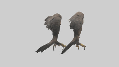 3D model Eagle Talons VR / AR / low-poly