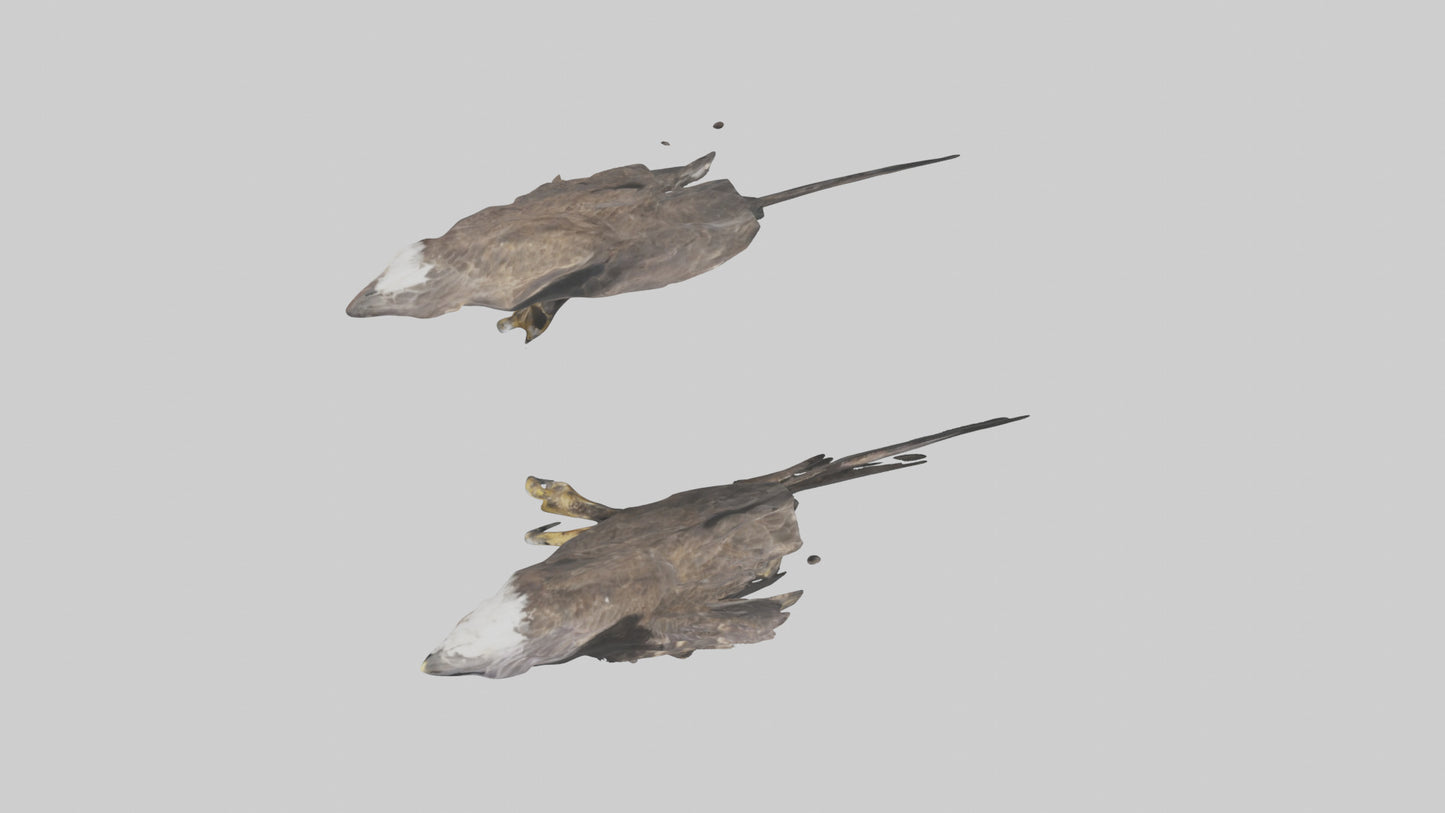 3D model Eagle Talons VR / AR / low-poly