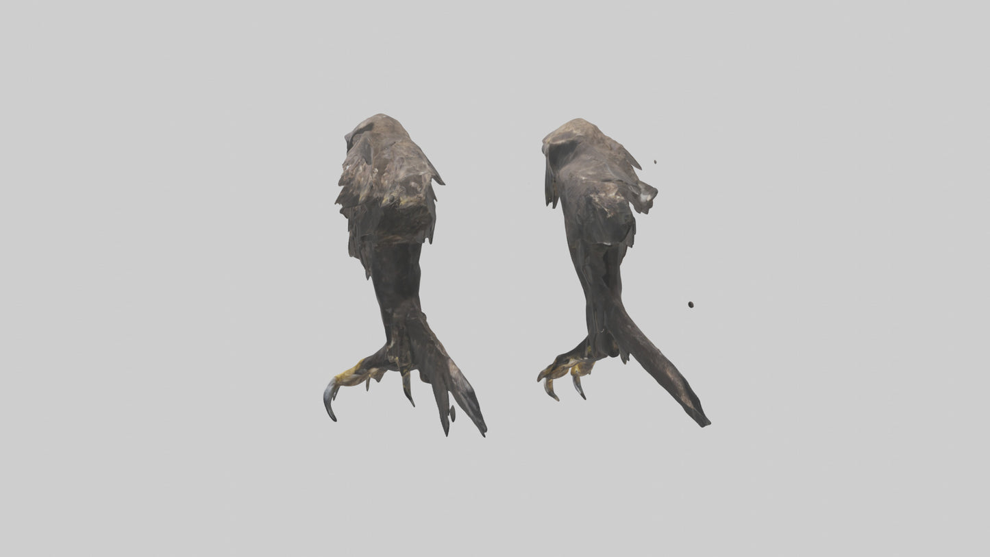 3D model Eagle Talons VR / AR / low-poly