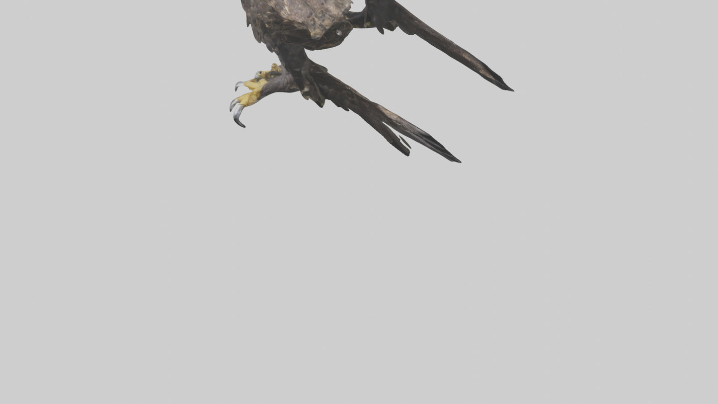 3D model Eagle Talons VR / AR / low-poly