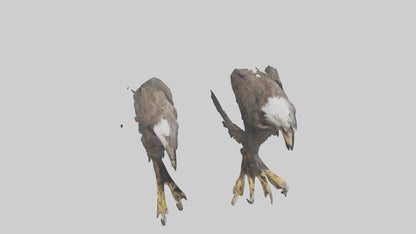 3D model Eagle Talons VR / AR / low-poly