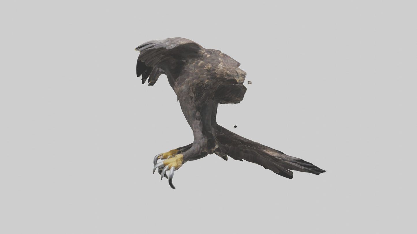 3D model Eagle Talons VR / AR / low-poly