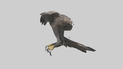 3D model Eagle Talons VR / AR / low-poly