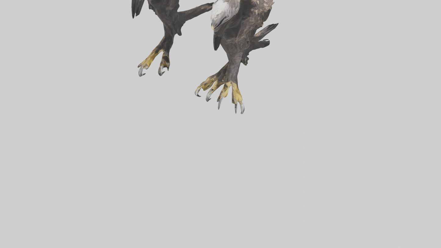 3D model Eagle Talons VR / AR / low-poly