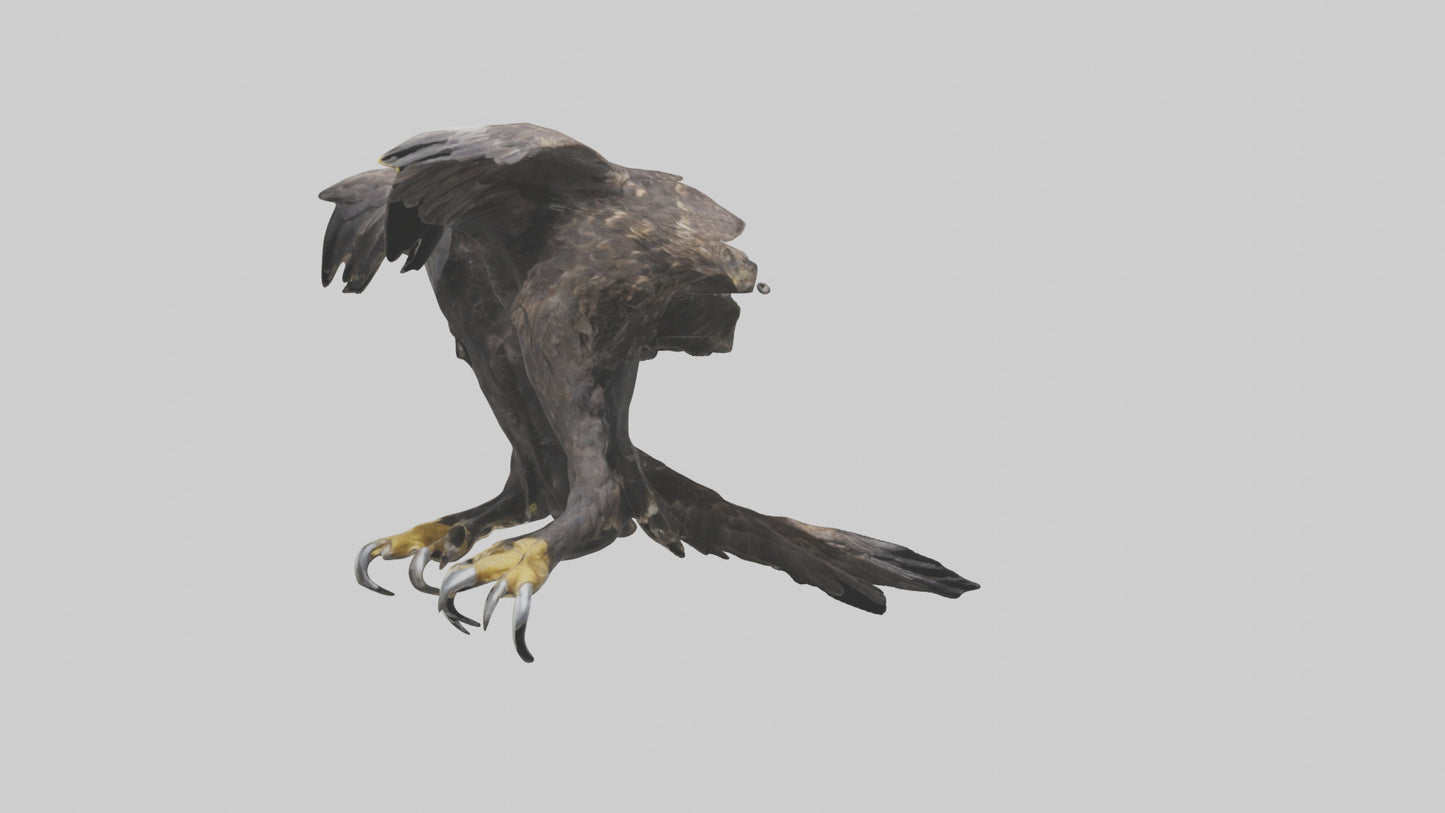 3D model Eagle Talons VR / AR / low-poly