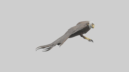 3D model Eagle Talons Model VR / AR / low-poly