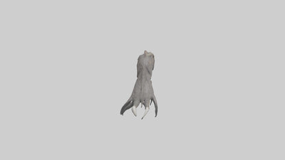 3D model Eagle Talons Model VR / AR / low-poly