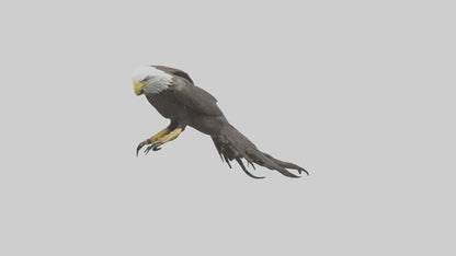 3D model Eagle Talons Model VR / AR / low-poly