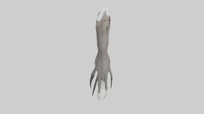 3D model Eagle Talons Model VR / AR / low-poly