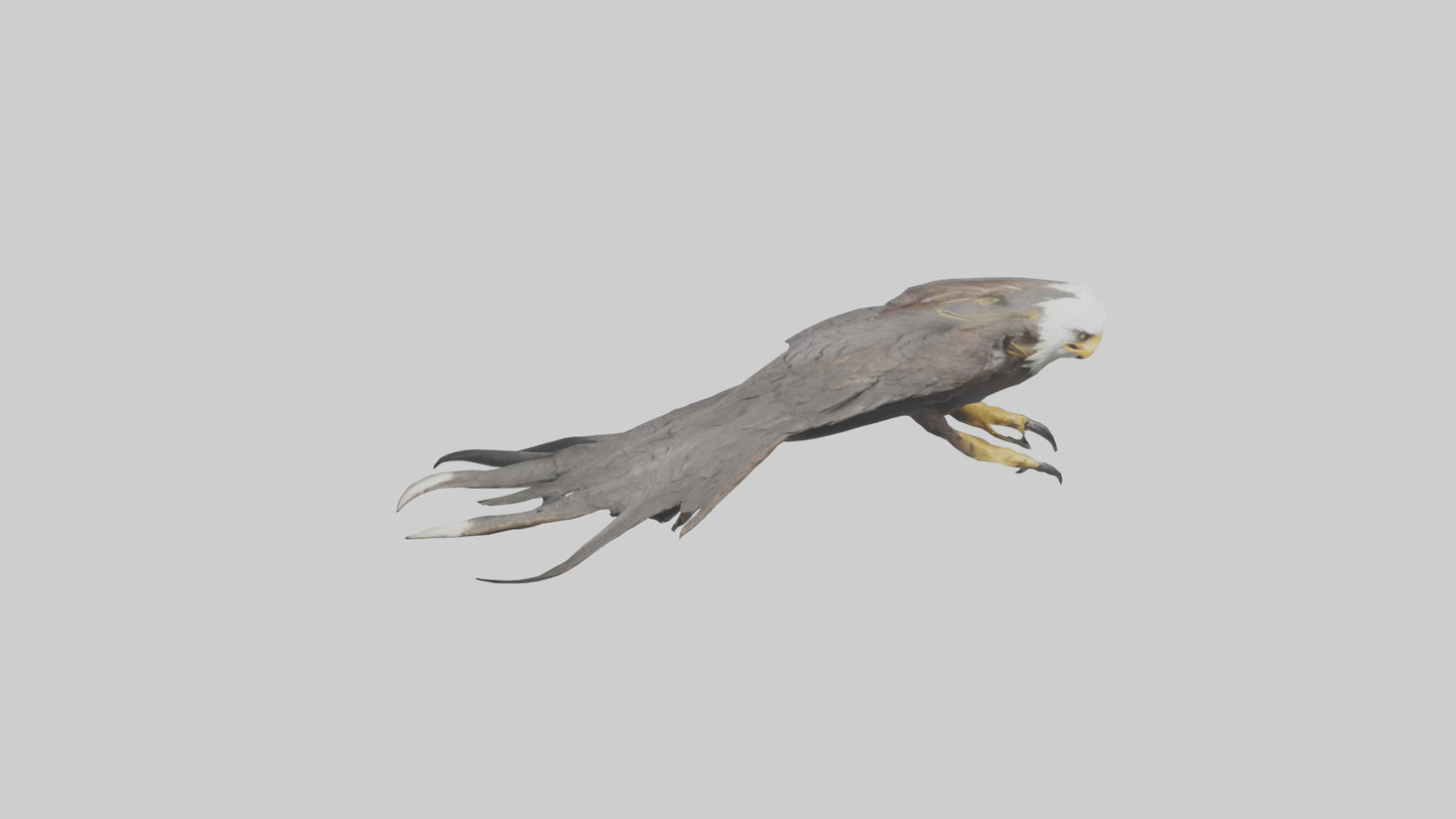 3D model Eagle Talons Model VR / AR / low-poly