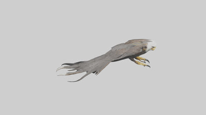 3D model Eagle Talons Model VR / AR / low-poly