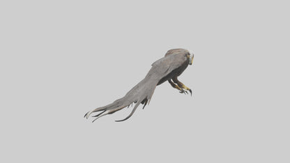 3D model Eagle Talons Model VR / AR / low-poly