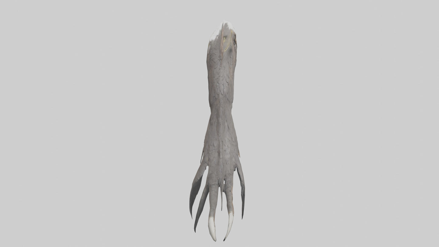 3D model Eagle Talons Model VR / AR / low-poly