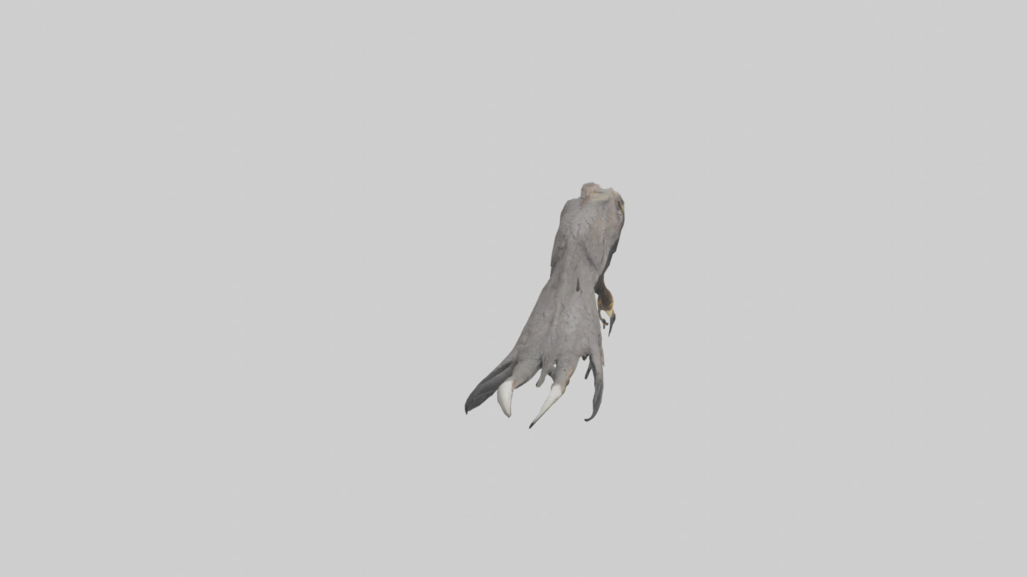 3D model Eagle Talons Model VR / AR / low-poly