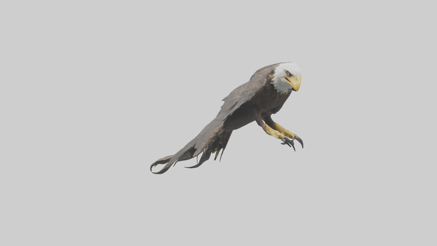 3D model Eagle Talons Model VR / AR / low-poly