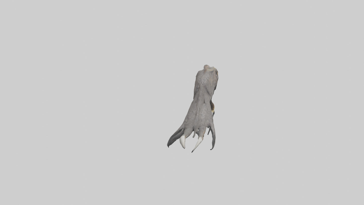 3D model Eagle Talons Model VR / AR / low-poly