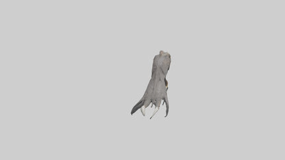 3D model Eagle Talons Model VR / AR / low-poly