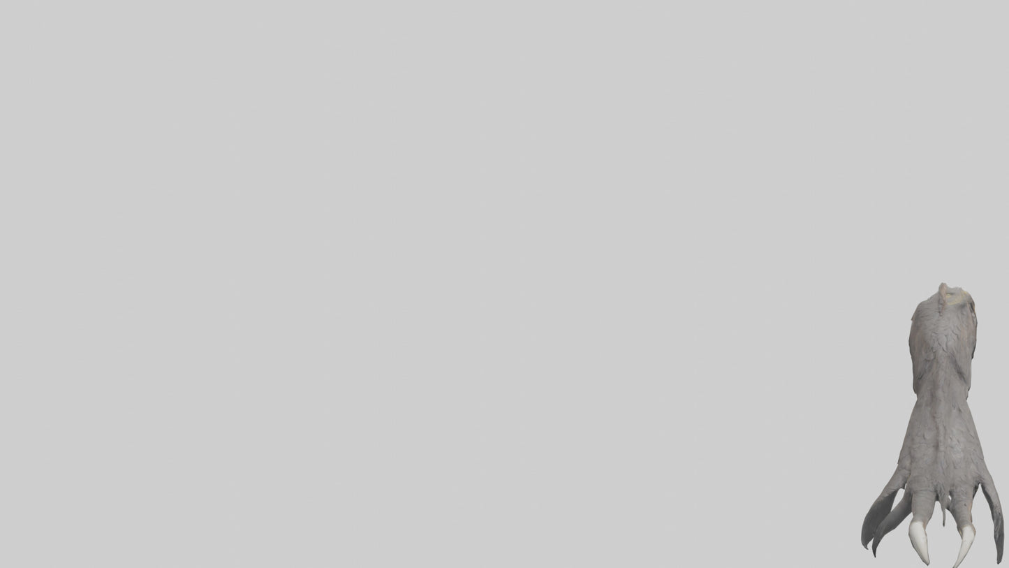 3D model Eagle Talons Model VR / AR / low-poly