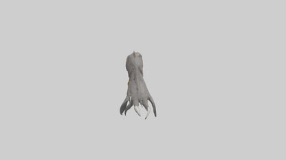 3D model Eagle Talons Model VR / AR / low-poly