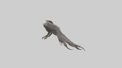 3D model Eagle Talons Model VR / AR / low-poly