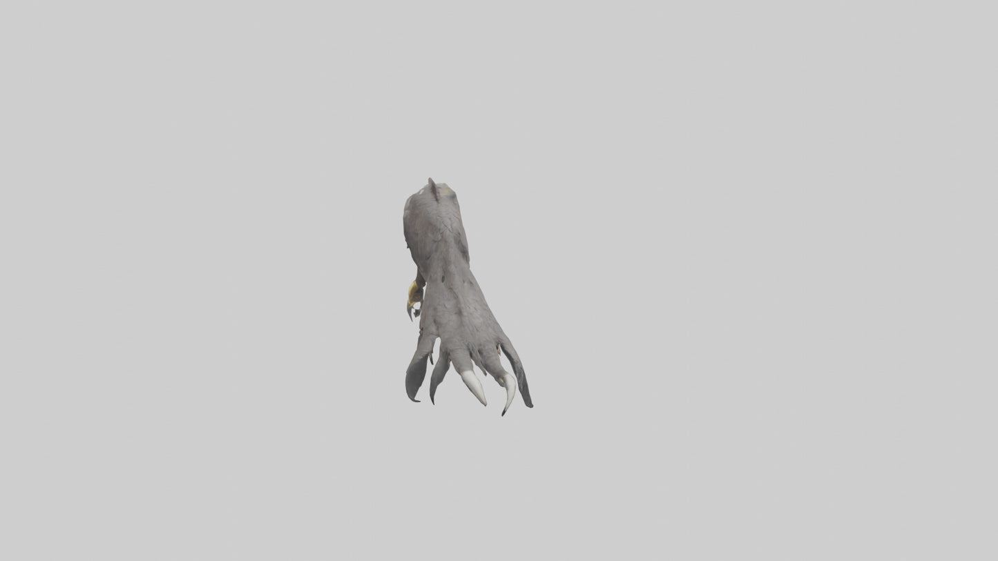 3D model Eagle Talons Model VR / AR / low-poly
