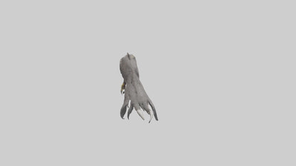 3D model Eagle Talons Model VR / AR / low-poly