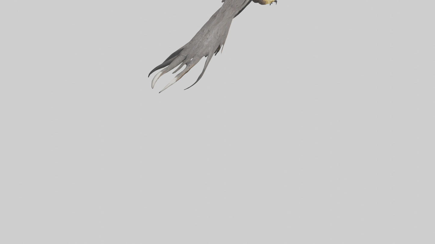 3D model Eagle Talons Model VR / AR / low-poly