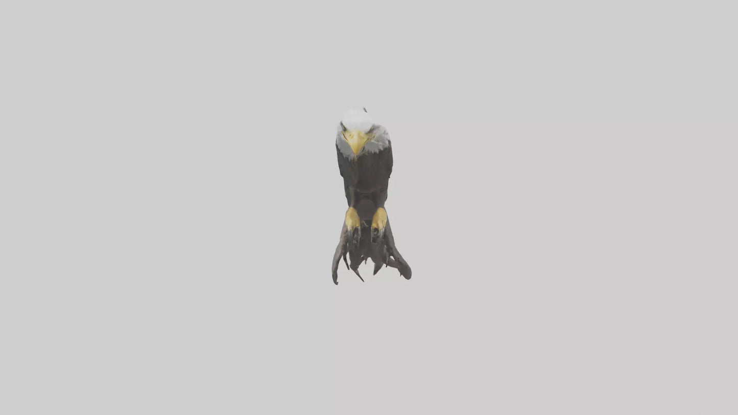 3D model Eagle Talons Model VR / AR / low-poly