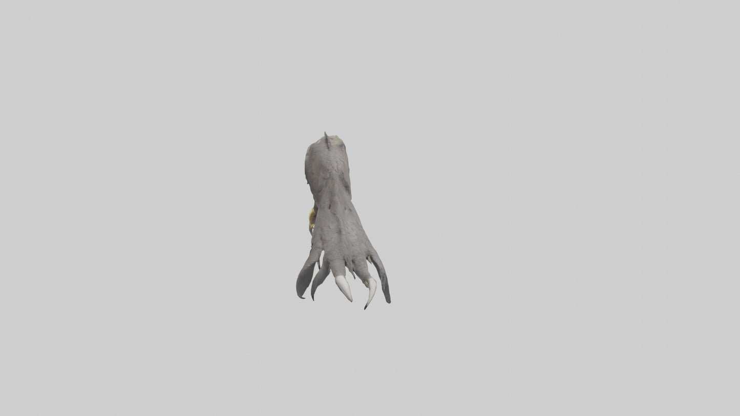 3D model Eagle Talons Model VR / AR / low-poly