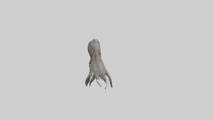 3D model Eagle Talons Model VR / AR / low-poly