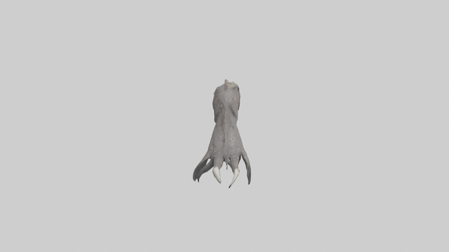 3D model Eagle Talons Model VR / AR / low-poly