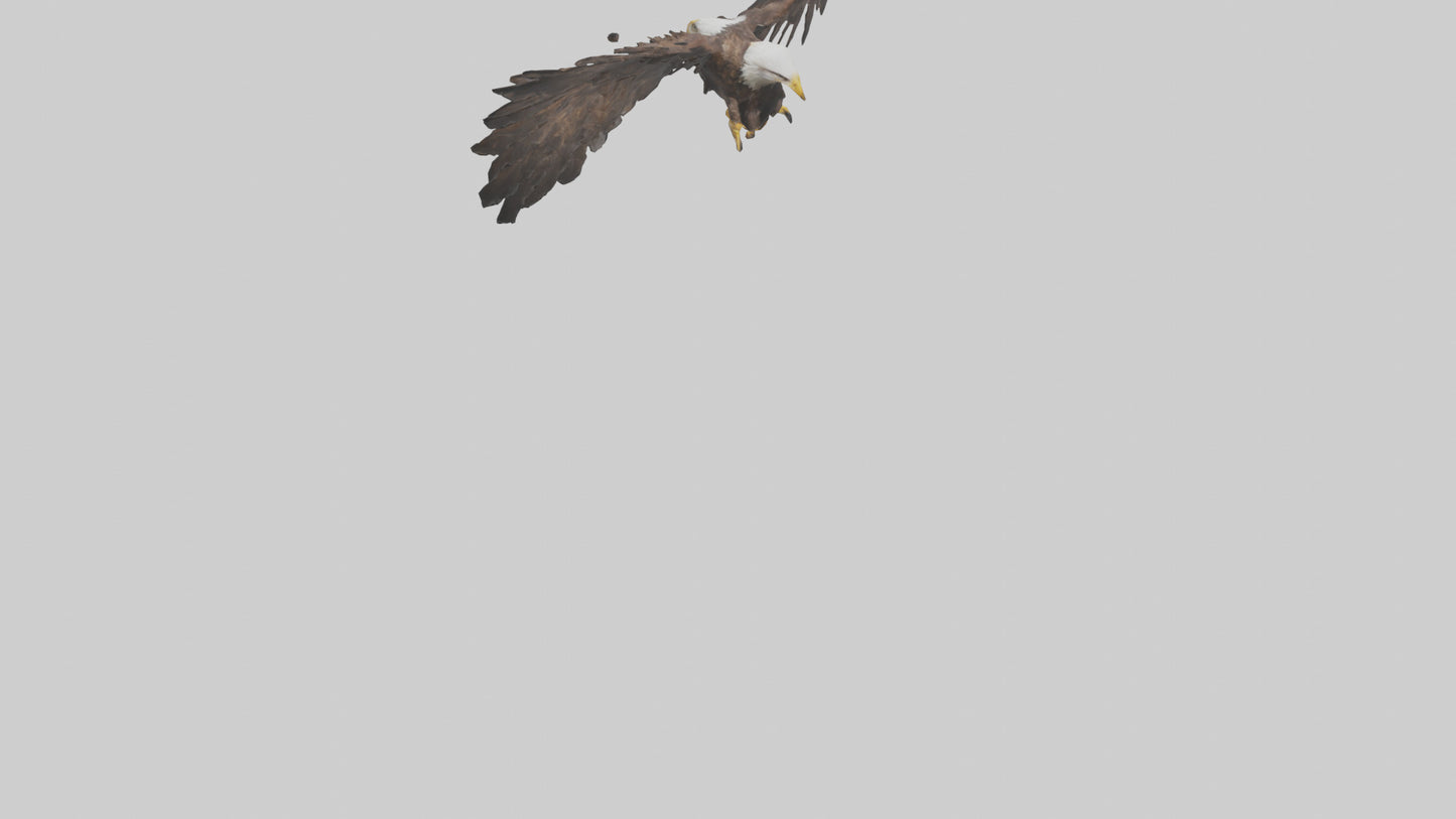 Eagle Wings 3D model
