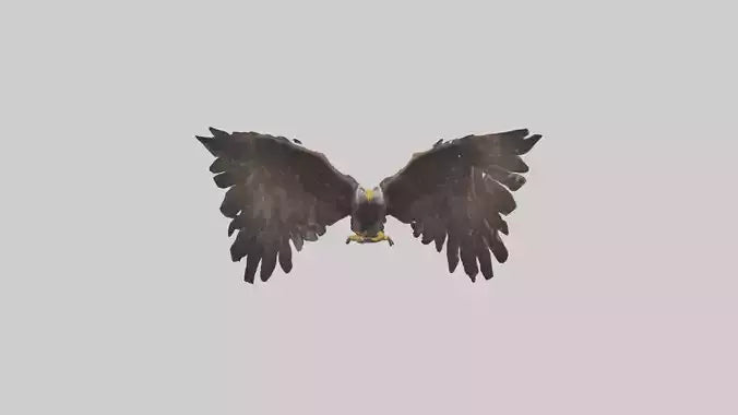 Eagle Wings 3D model