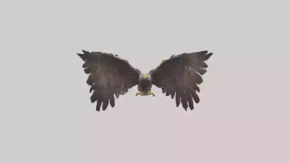 Eagle Wings 3D model