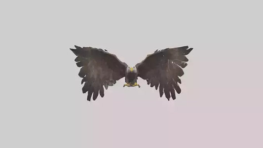 Eagle Wings 3D model