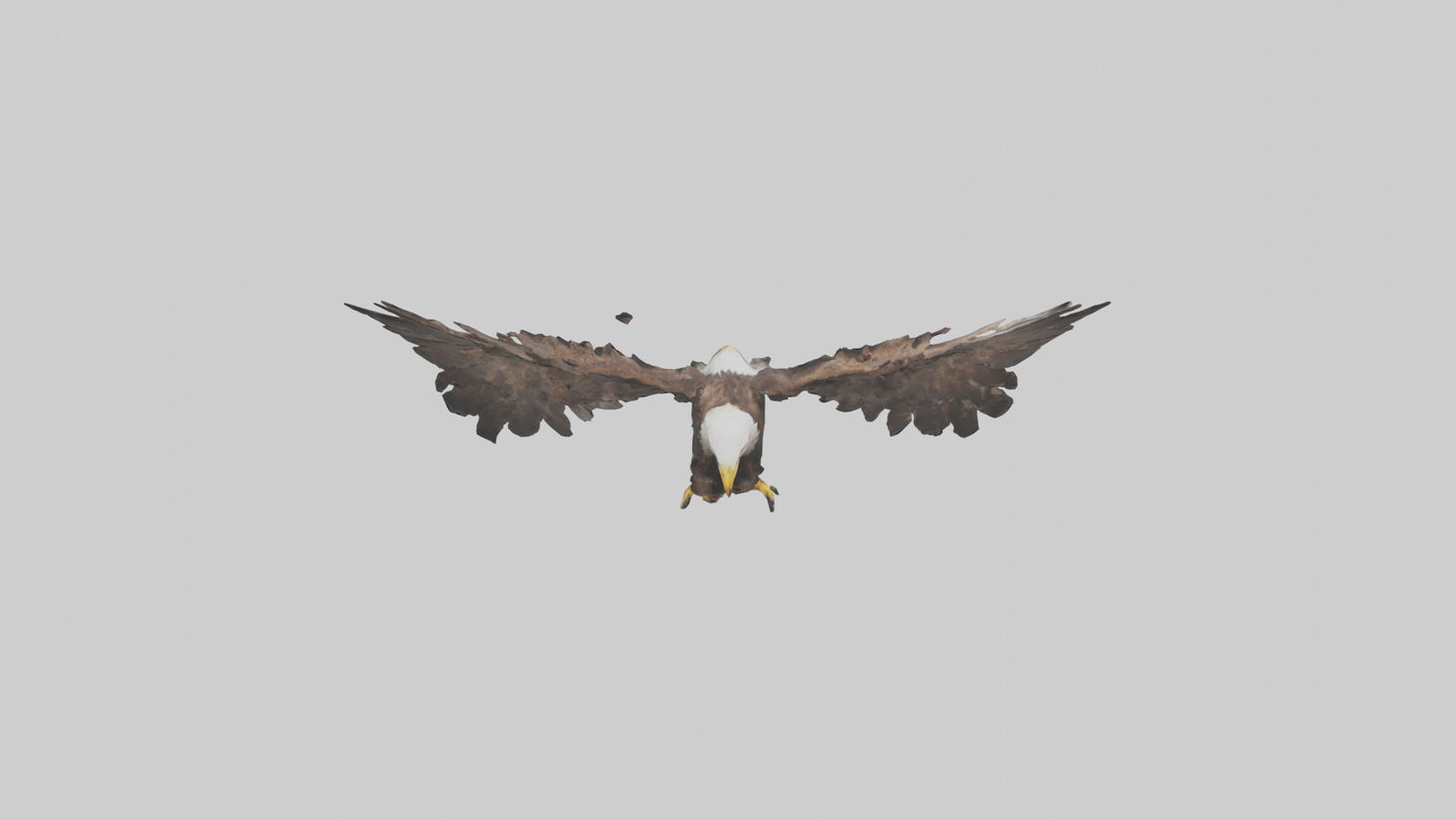Eagle Wings 3D model