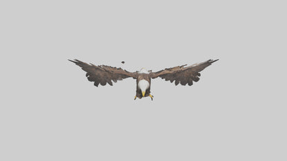 Eagle Wings 3D model