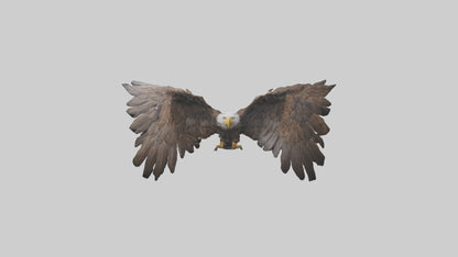 Eagle Wings 3D model