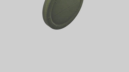 Earth Shield model 3D model