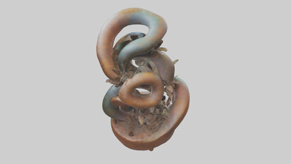Earthly Spiral Sculpture model 3D model