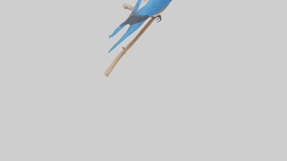 Eastern Bluebird perched model 3D model