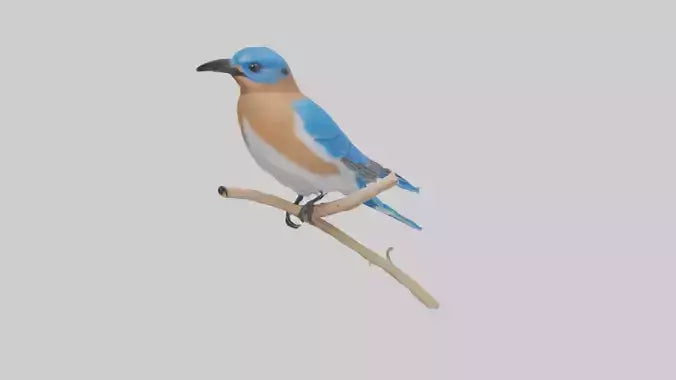 Eastern Bluebird perched model 3D model