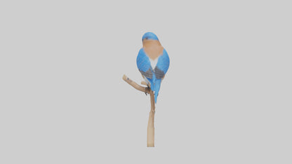 Eastern Bluebird perched model 3D model