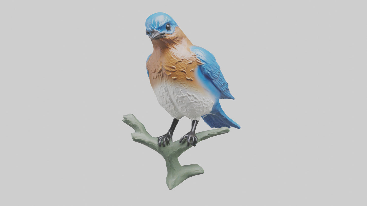 Eastern Bluebird statue model VR / AR / low-poly