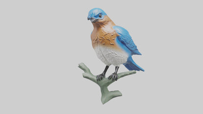 Eastern Bluebird statue model VR / AR / low-poly
