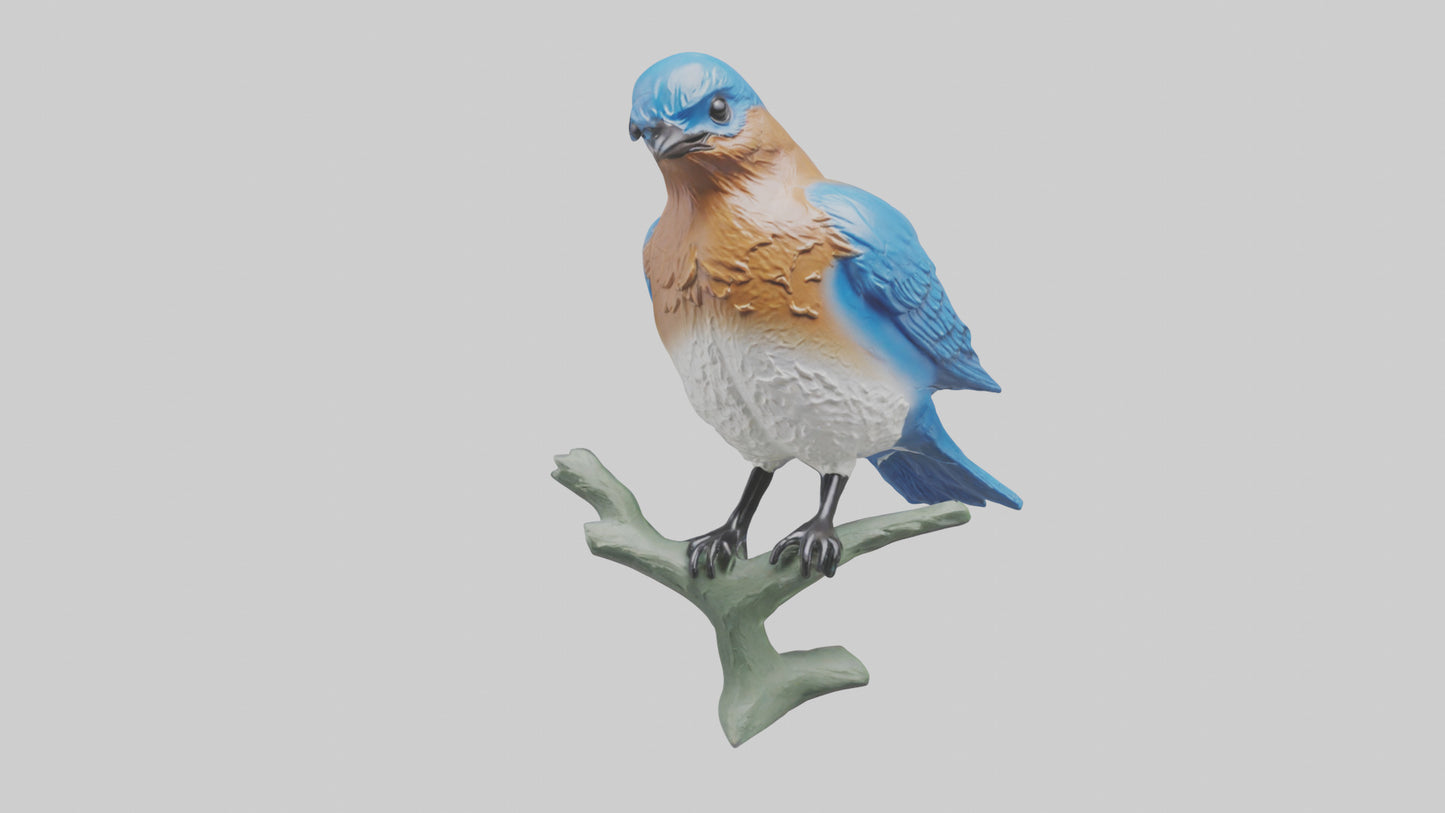 Eastern Bluebird statue model VR / AR / low-poly